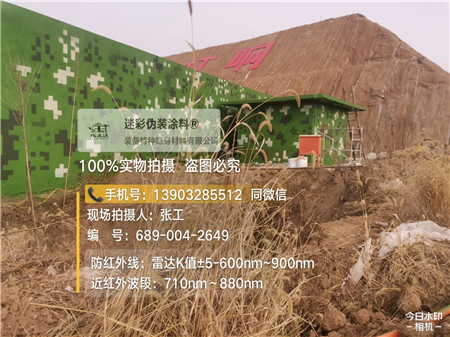 铜陵星空迷彩墙施工队